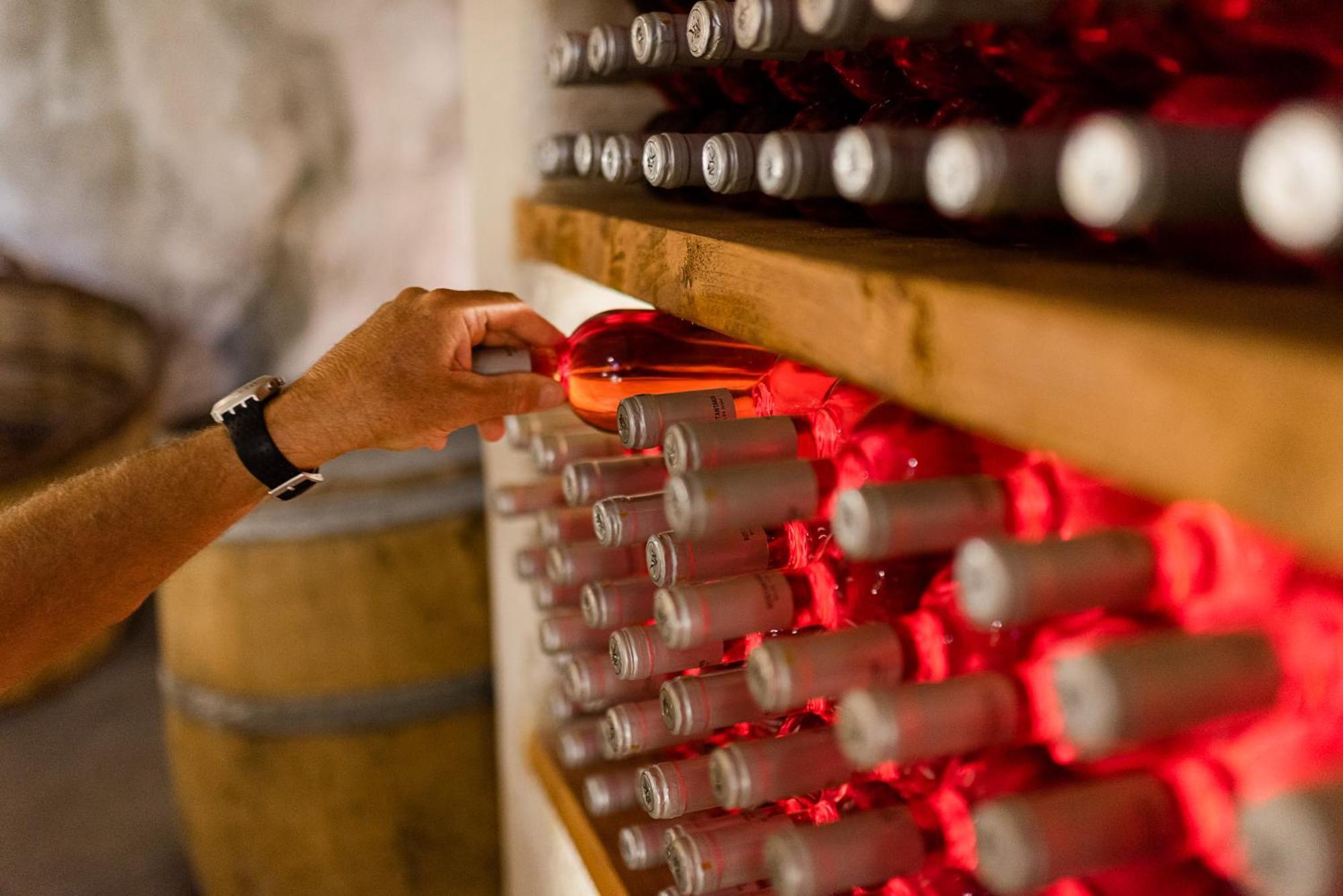 منزل الضيف بولونيا  في Kostantakis Winery Estate المظهر الخارجي الصورة