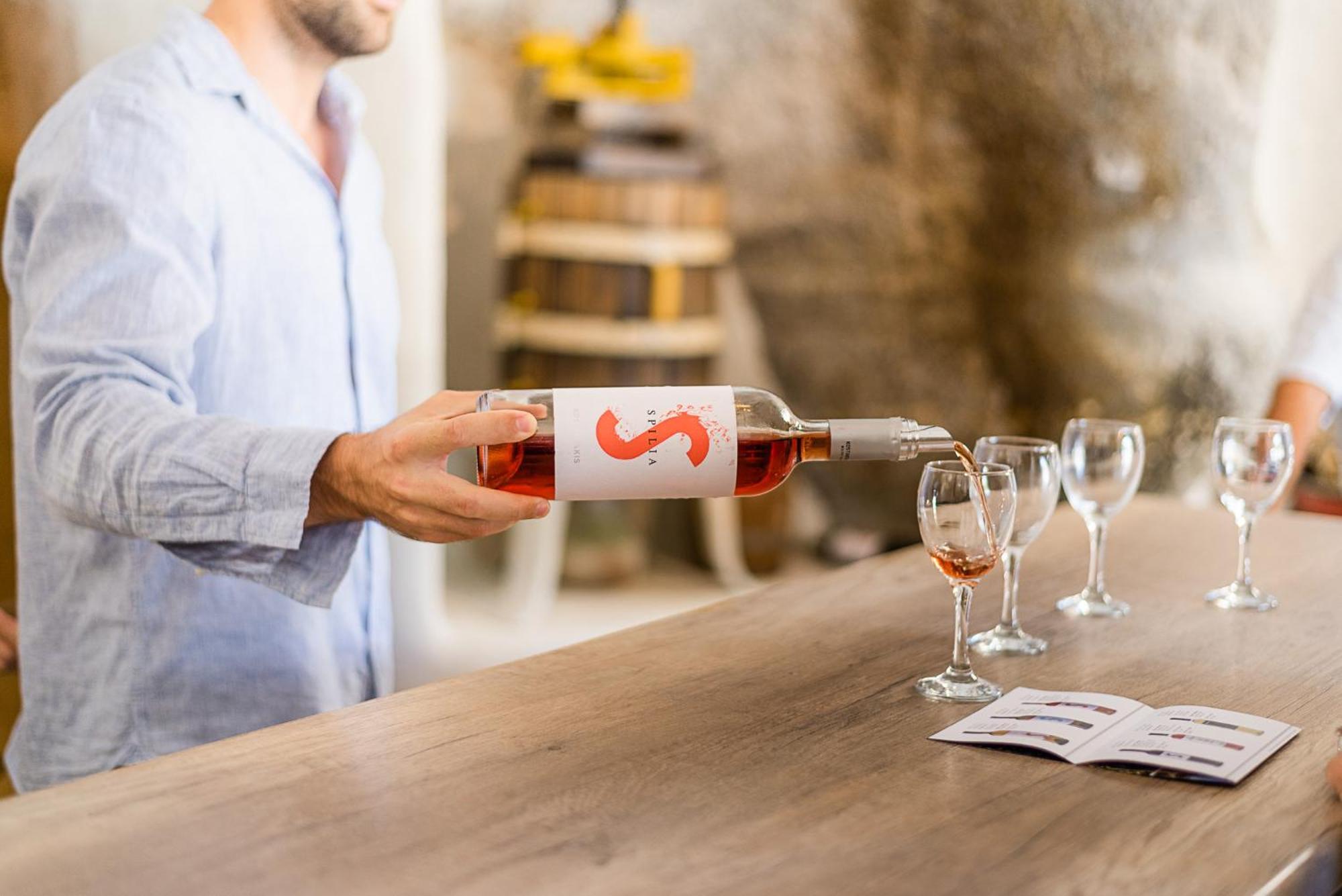 منزل الضيف بولونيا  في Kostantakis Winery Estate المظهر الخارجي الصورة